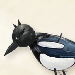 The app icon: the magpie peeking in from the edge